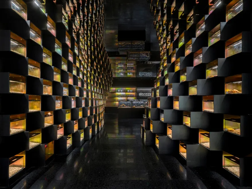 鳞动|其鳞· 爬宠体验店丨谢几点设计事务所(中国•广州)-14