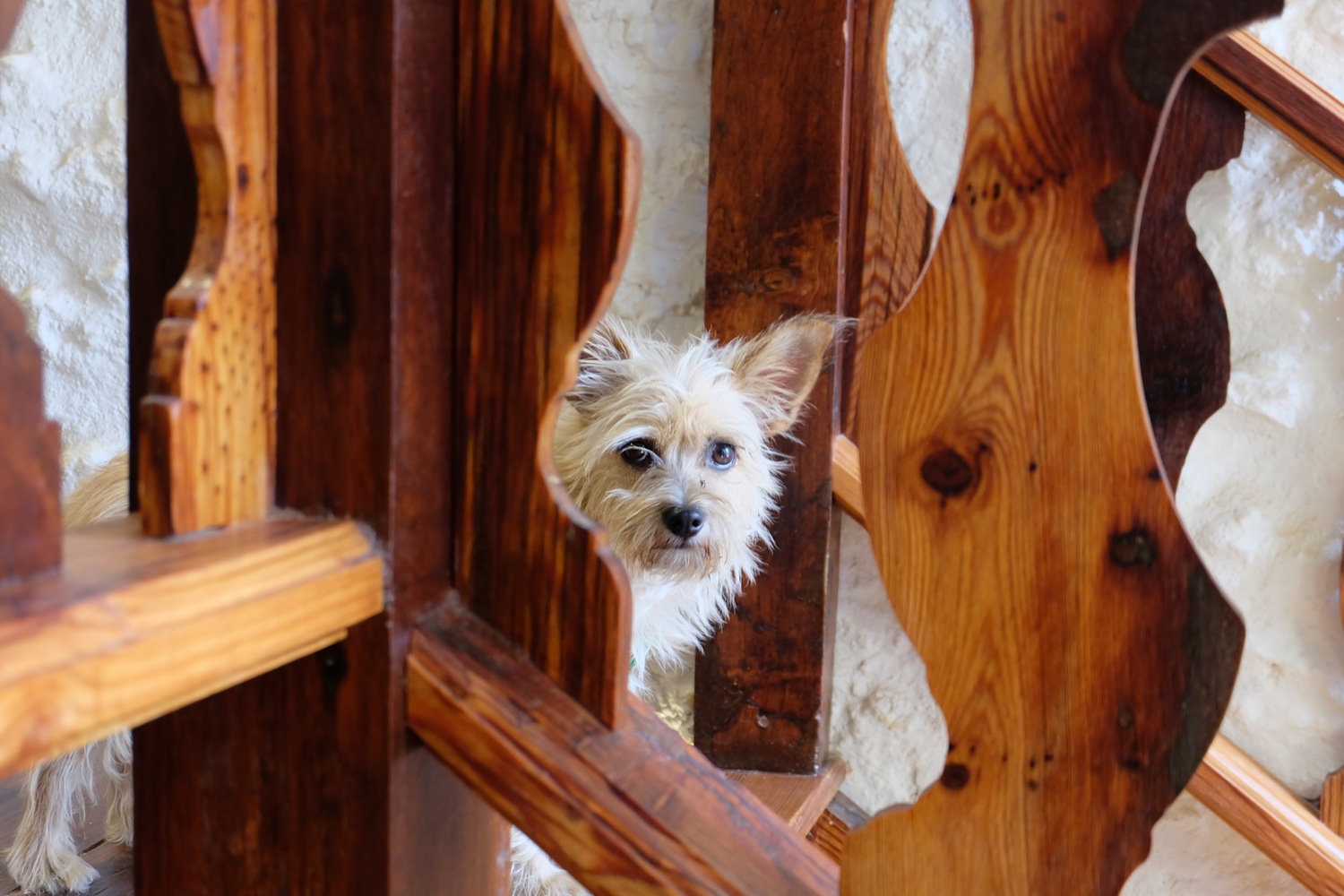 西班牙历史建筑的现代重生-59