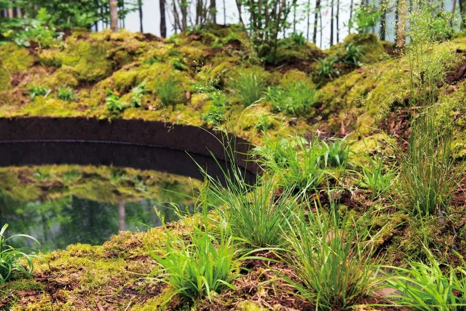 “呼唤希望”沉浸式装置丨奥地利维也纳丨Superflux 设计工作室-42