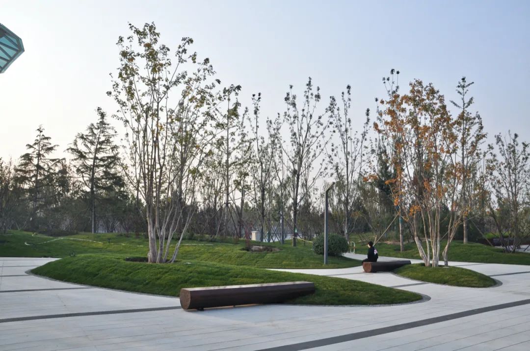 绿色智慧生活样本 | 乡愁记忆的新区实验区-0