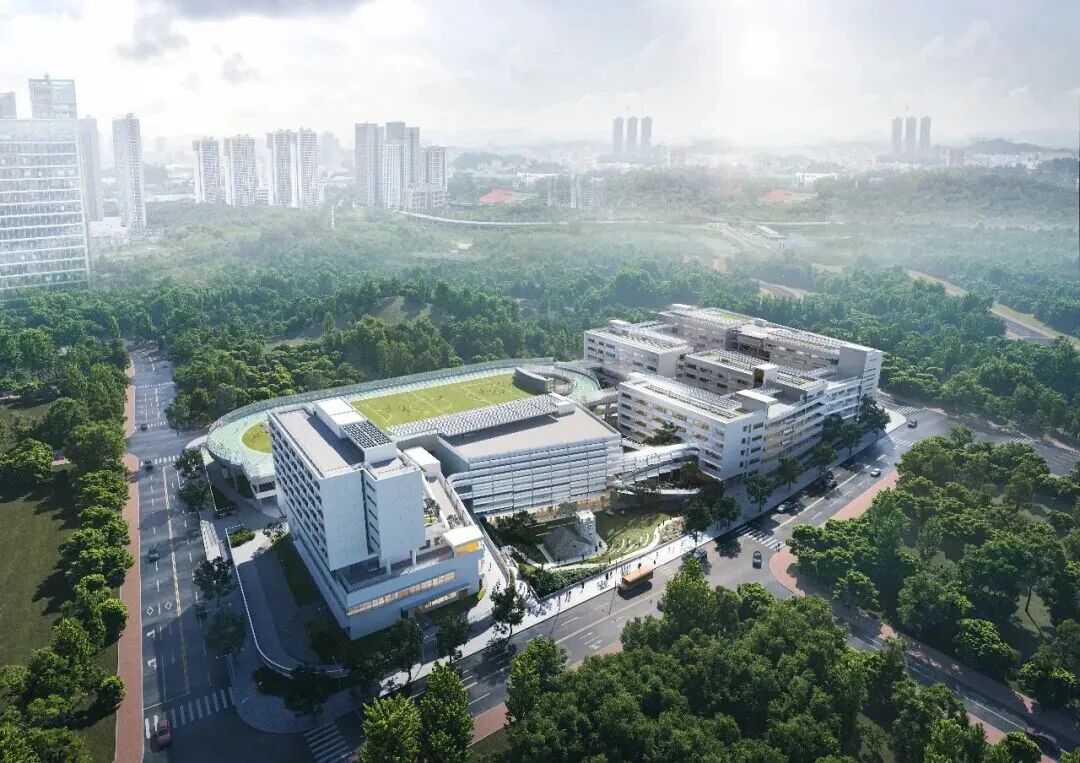 自然野趣，玩耍边界：深圳龙岗山厦学校-28