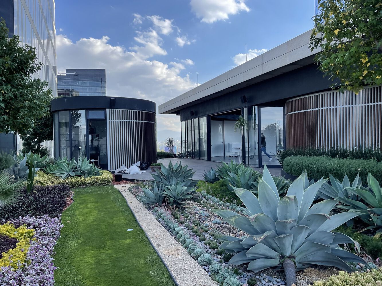 金融科技 TK 办公室丨墨西哥墨西哥城丨QARQ-22