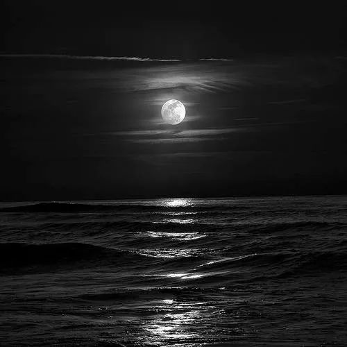 杭州中海·翠揽云境景观设计丨中国杭州丨普瑞得设计——公共艺术工作室-0