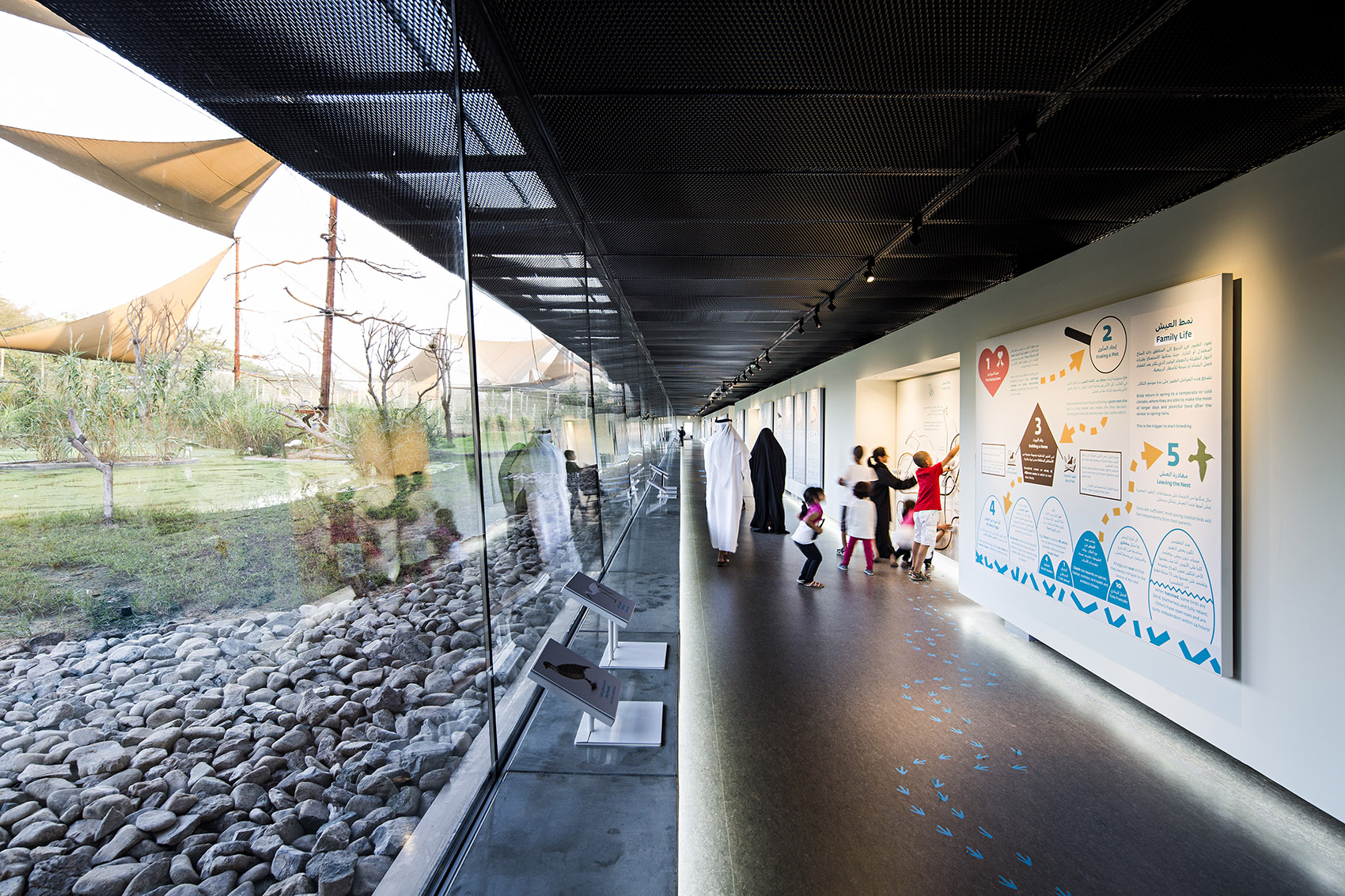 瓦西特自然保护区游客中心,阿联酋 / X Architects-19