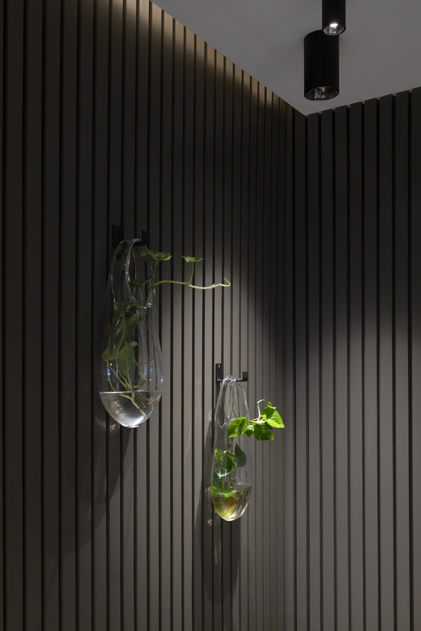 丨Mariela Montas Freundt及其团队SITMOB-17