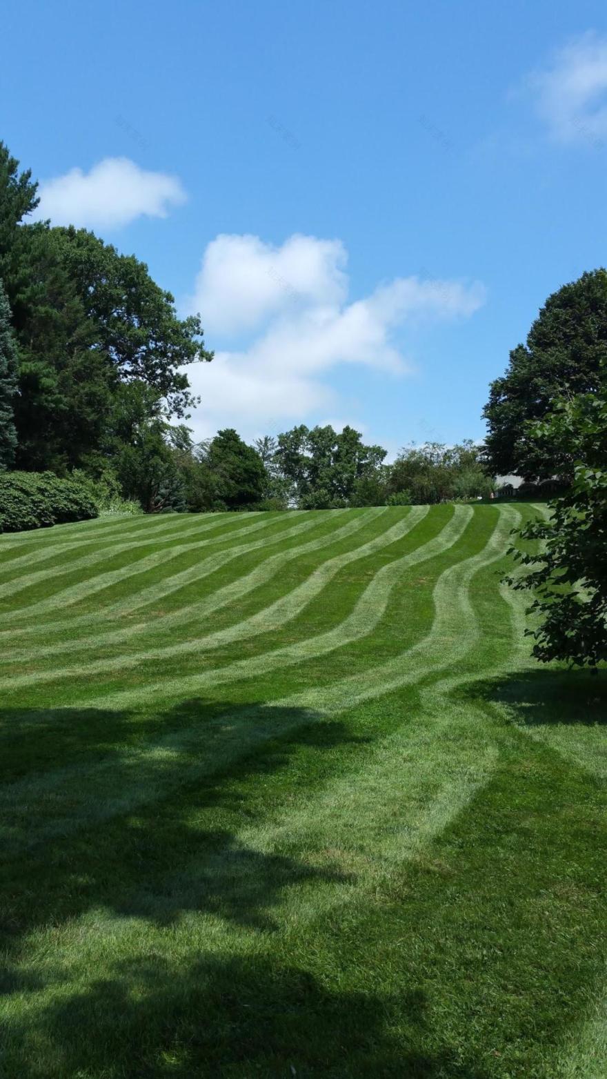 丨美国宾夕法尼亚丨Chanticleer staff and consultants-27