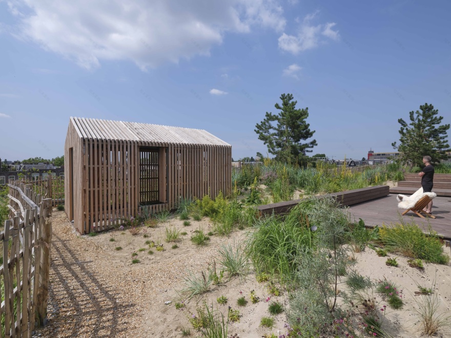 沙丘顶丨荷兰阿姆斯特丹丨Buro Harro-15