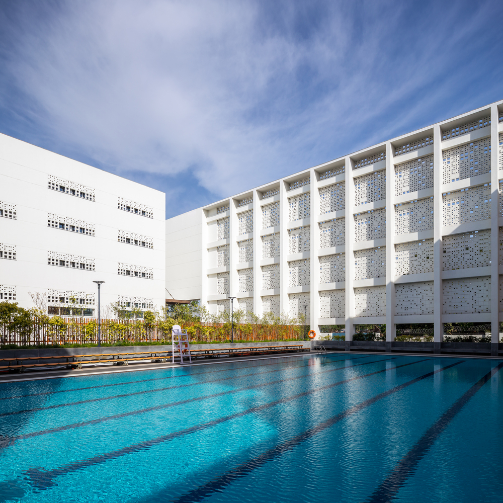 The British School  Morphogenesis-23