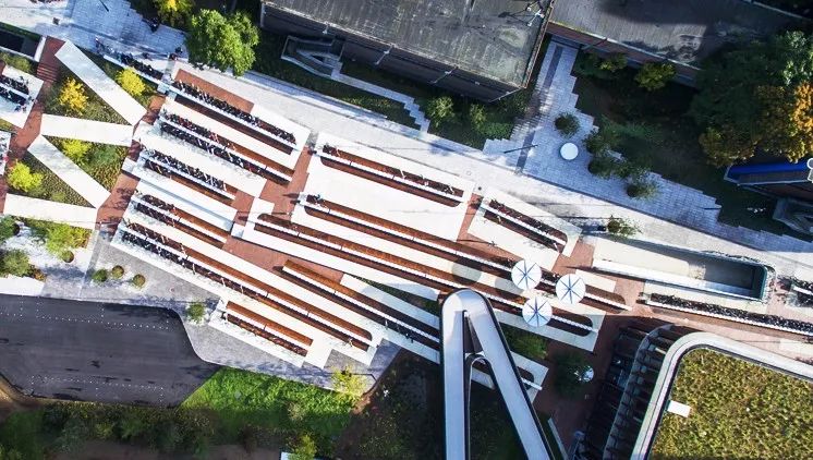 泰国Ramathibodi Healing Garden-57