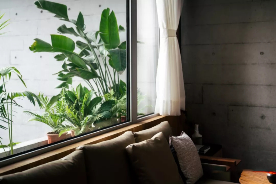 琚宾爆拆《皮囊》里的家,握手楼逆袭美宅+图书馆综合体!-89