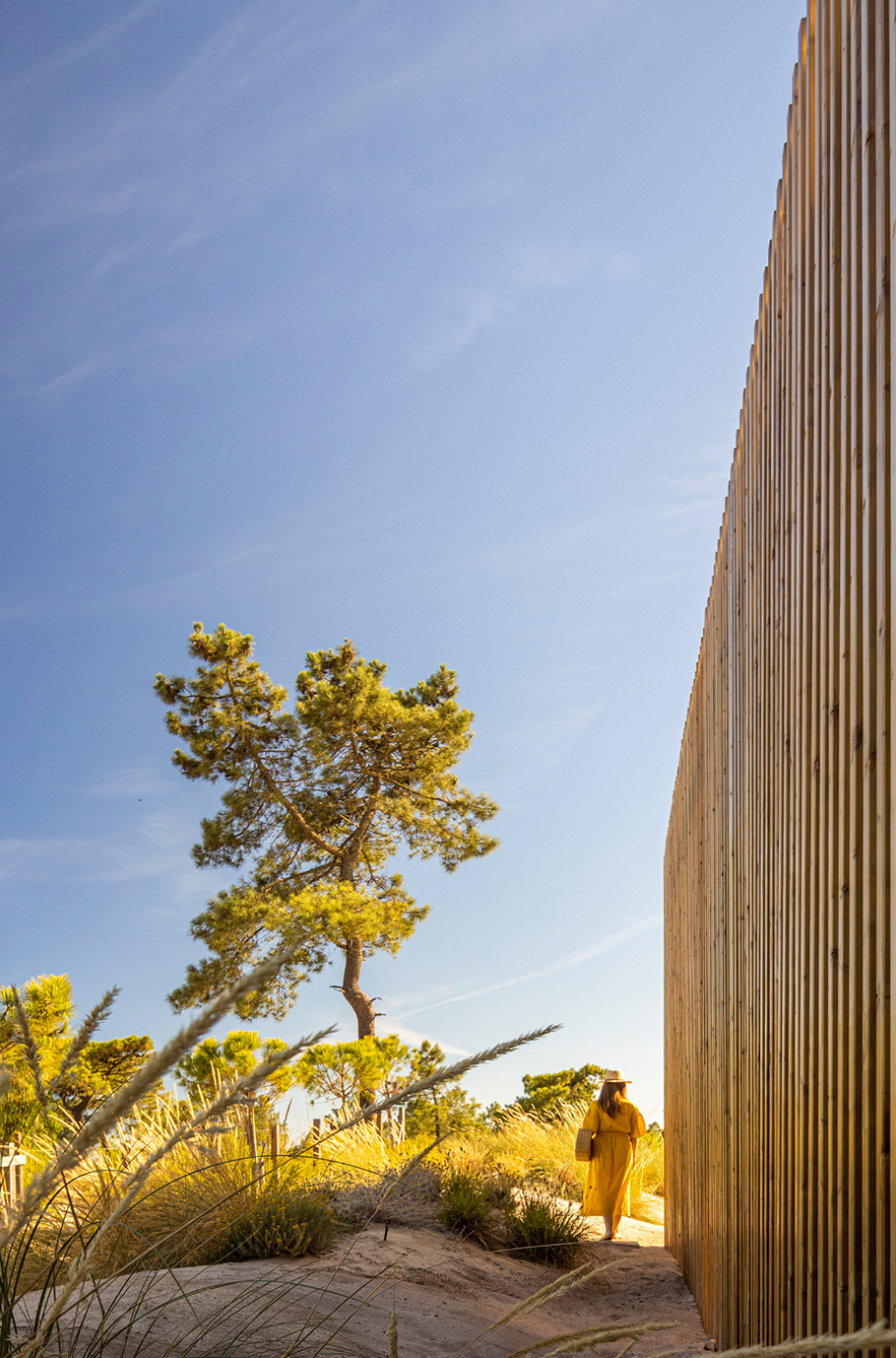 Troia 住宅丨BICA Arquitectos-12