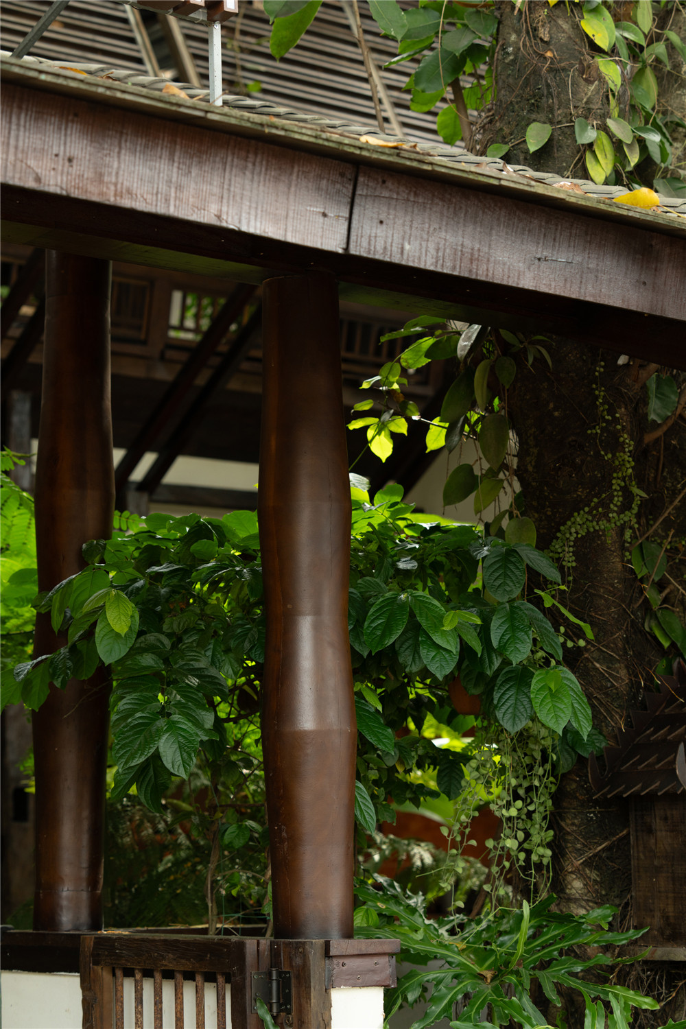 椿楣粉档丨中国西双版纳丨FUNS方糖空间设计顾问-30