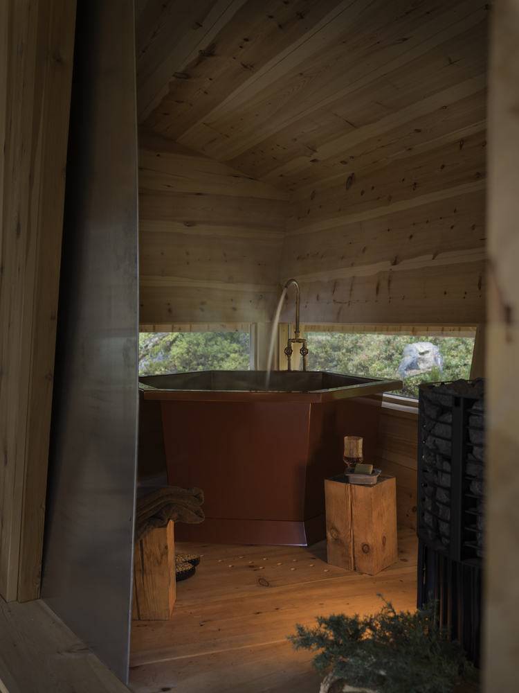 挪威杜鹃的巢室-32