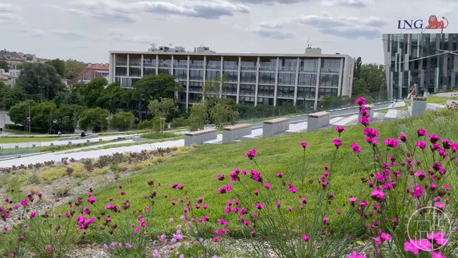 匈牙利民族博物馆丨匈牙利布达佩斯丨NAPUR Architect-53