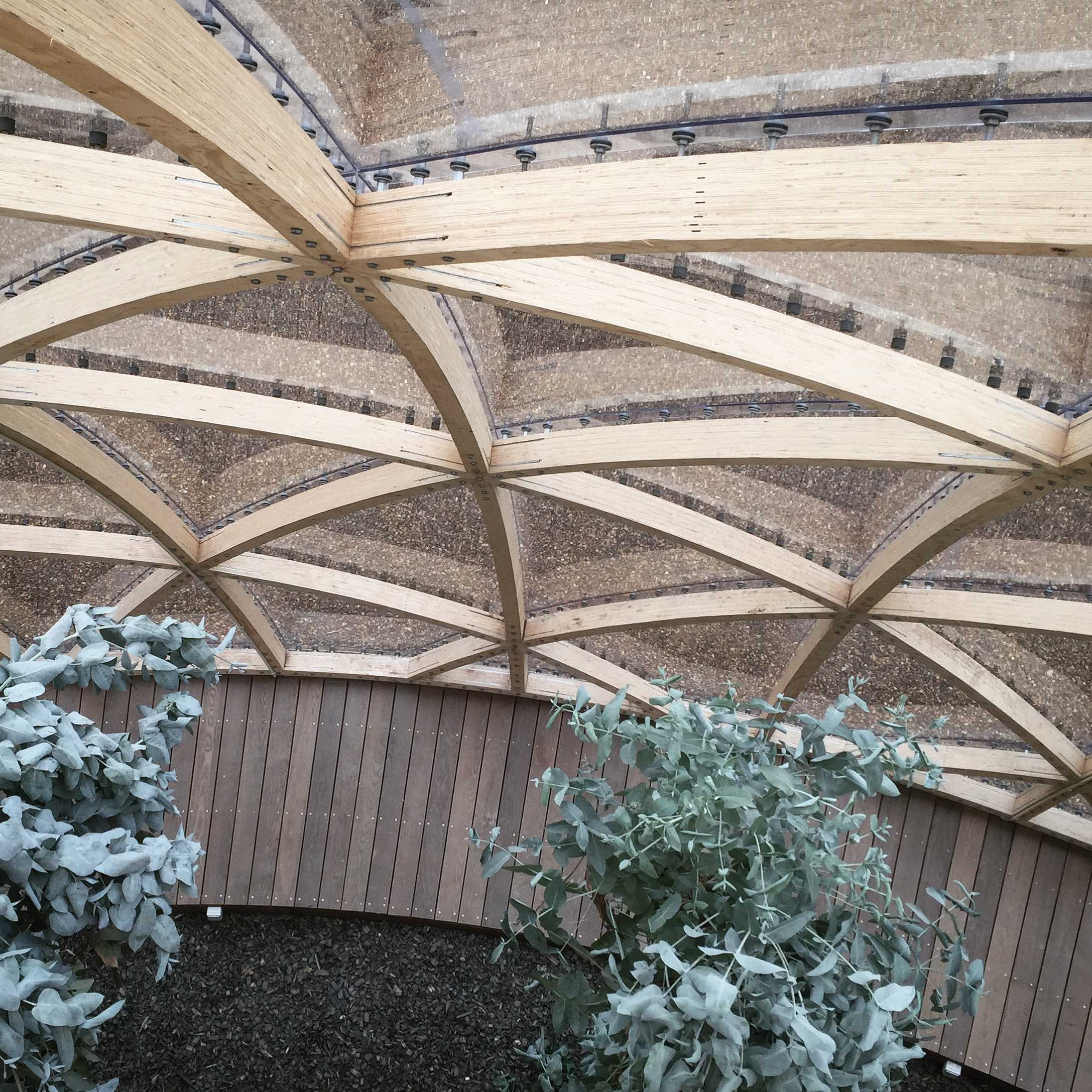 绿意环绕的临时性建筑 | Dome of Visions 3.0-26