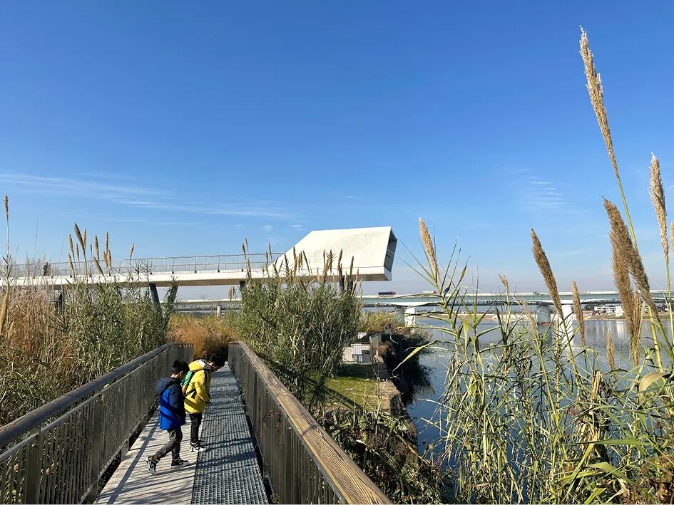 兰溪金角滩公园丨中国浙江-17