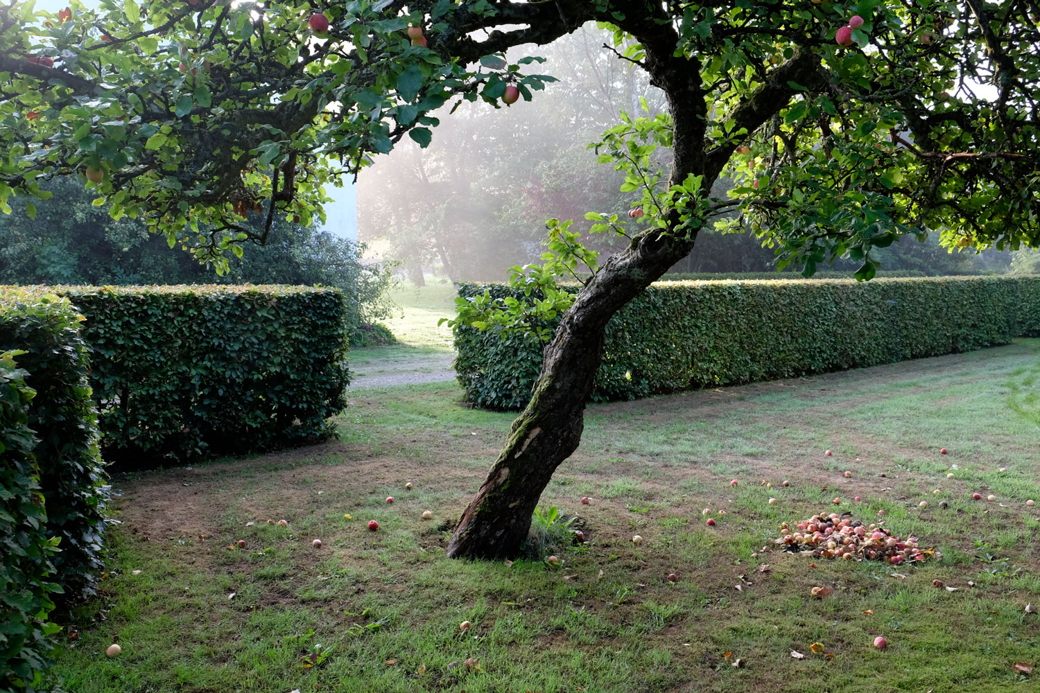 丹麦私家花园 Ellipse Garden-18