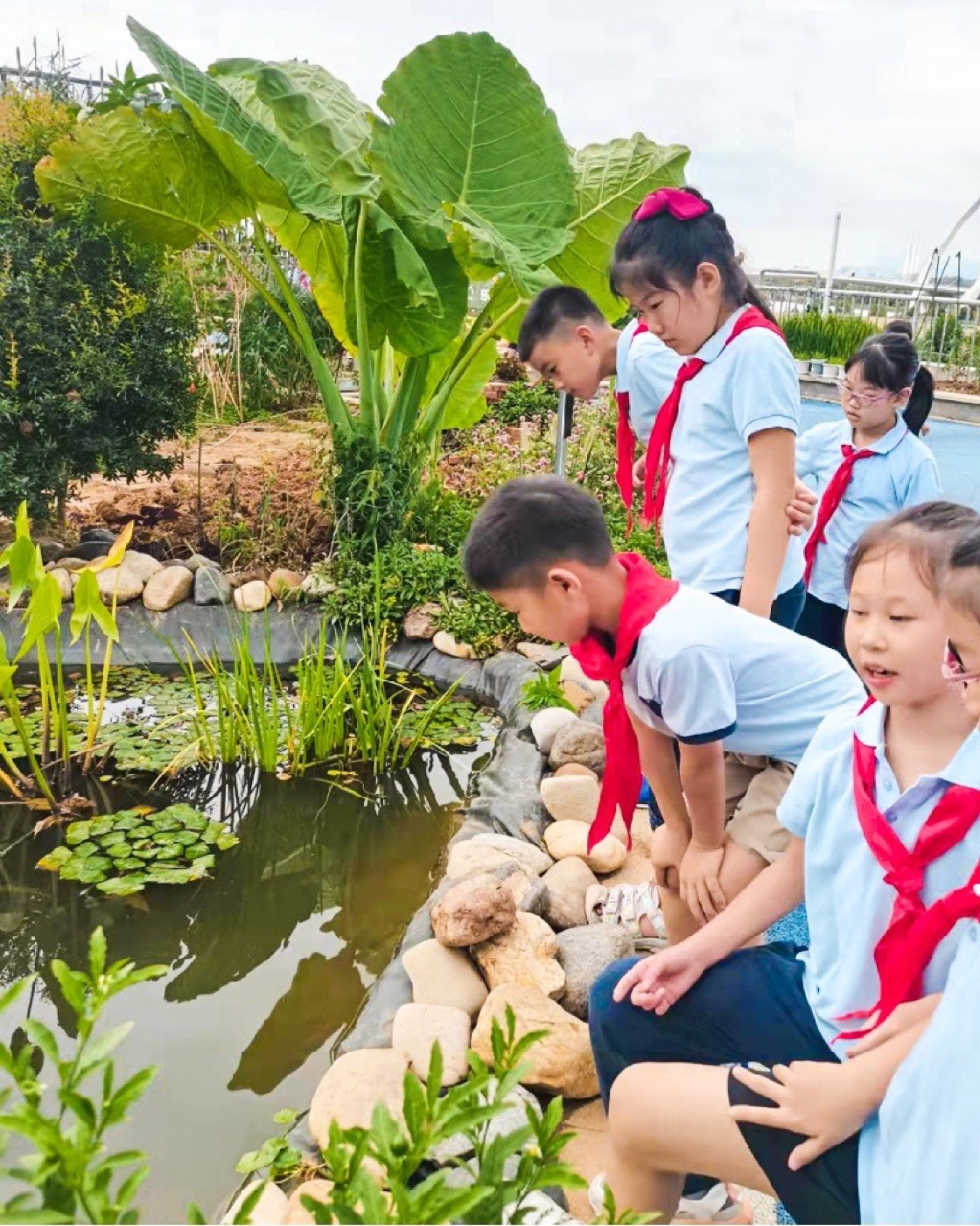 南京志远外语学校天空之园丨中国南京丨南京林业大学风景园林学院团队-14
