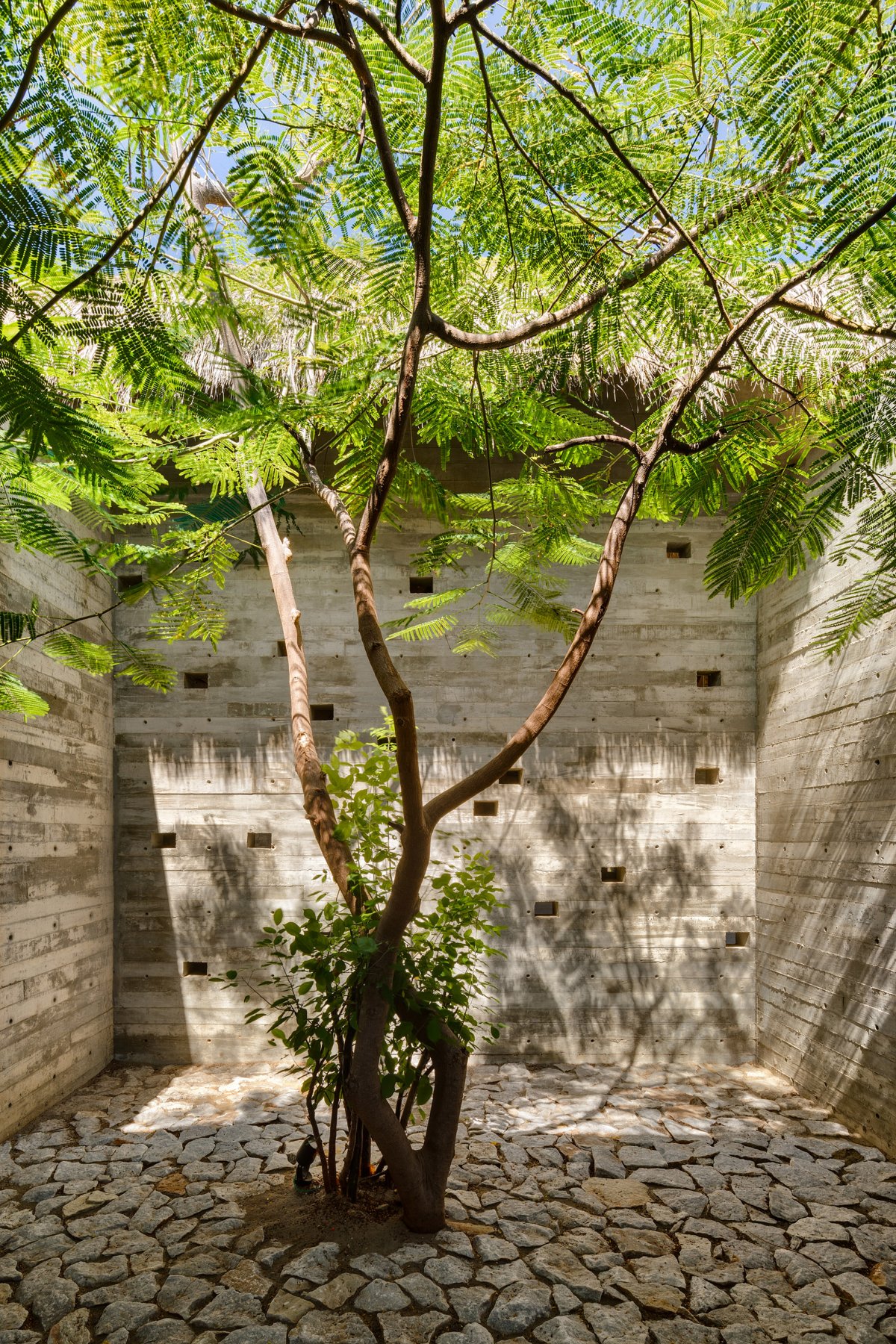 Casa Cova 别墅丨墨西哥丨Anonimous-6