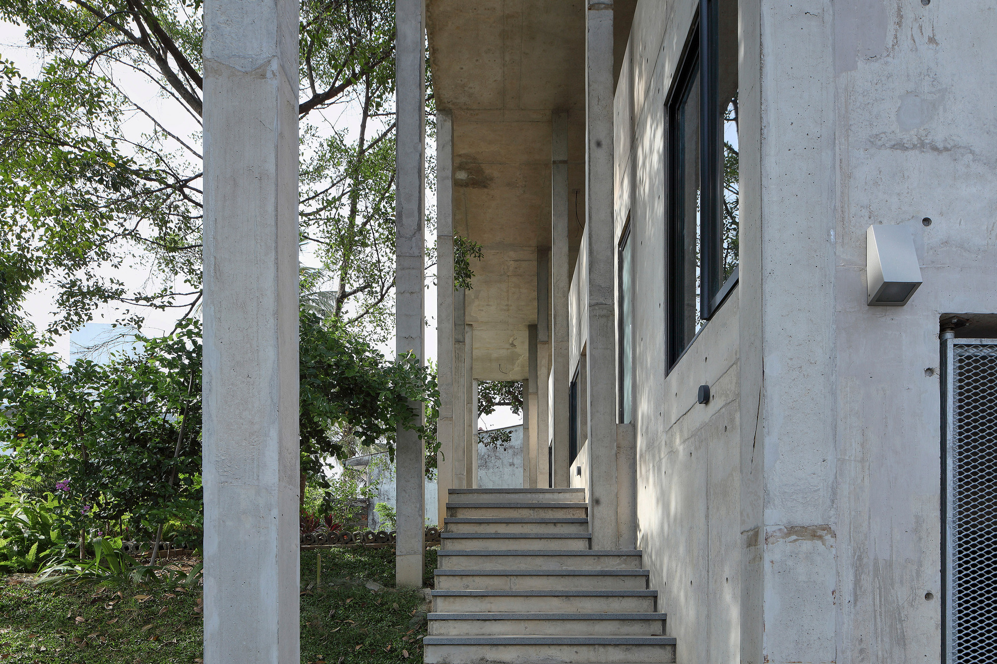 大树小植物屋丨Read Studio-14