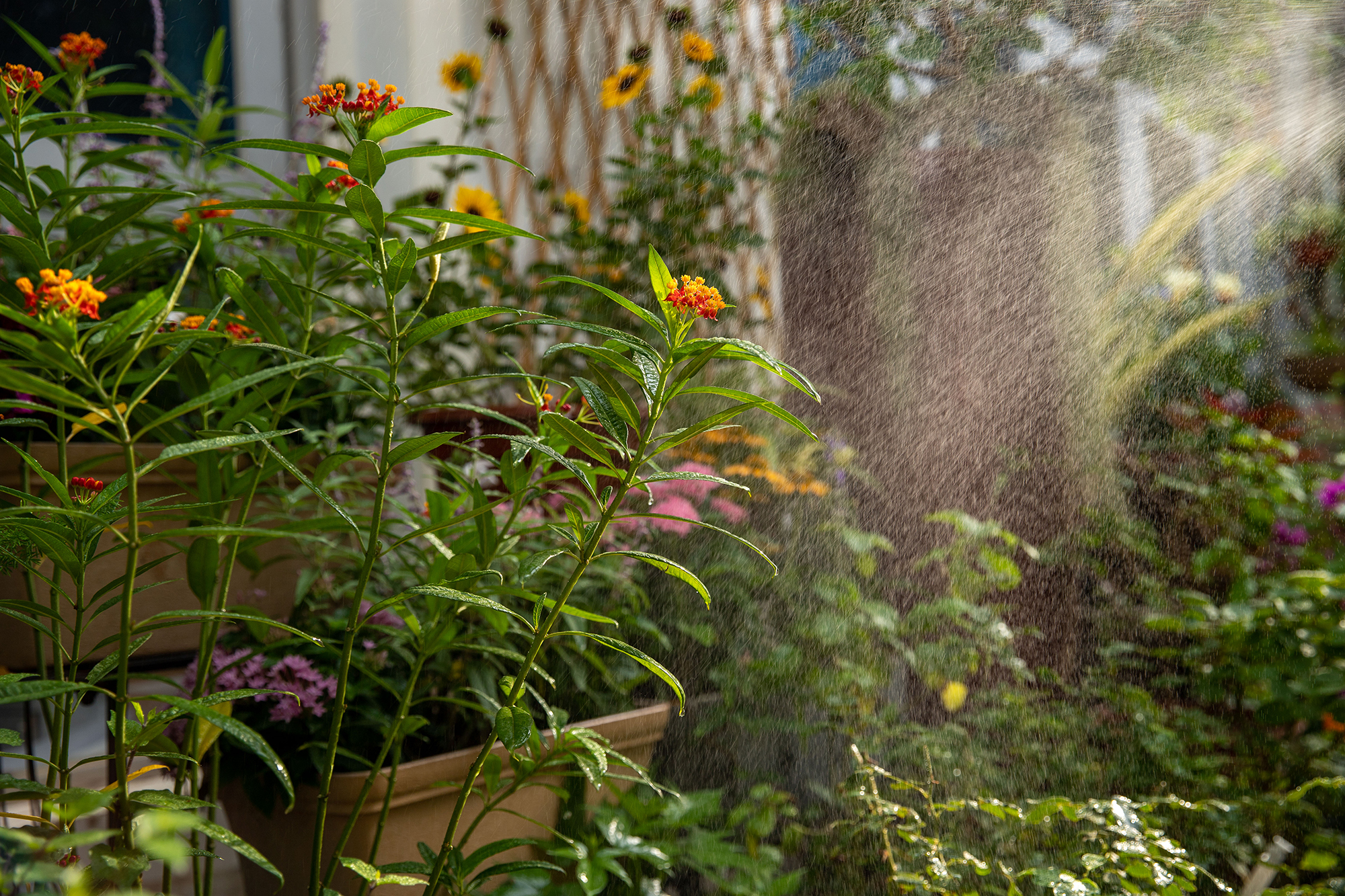 深圳南海意库5号楼屋顶花园-21
