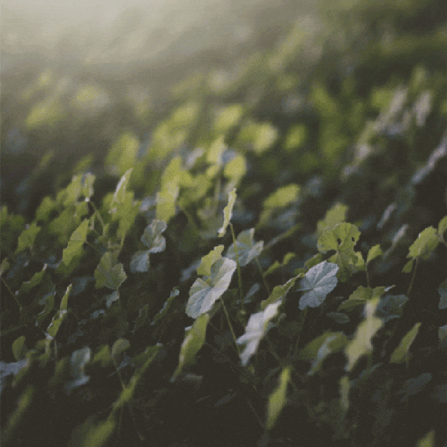 香港置地·武汉·光谷元庐·星启丨中国武汉丨海力空间设计-67