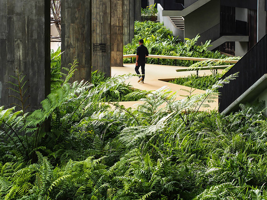 考艾植物园-6