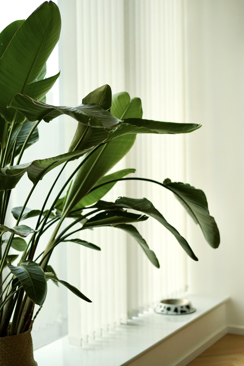 63㎡公寓变小复式,猫狗双全的惬意独居生活丨中国成都丨十六月工作室-61