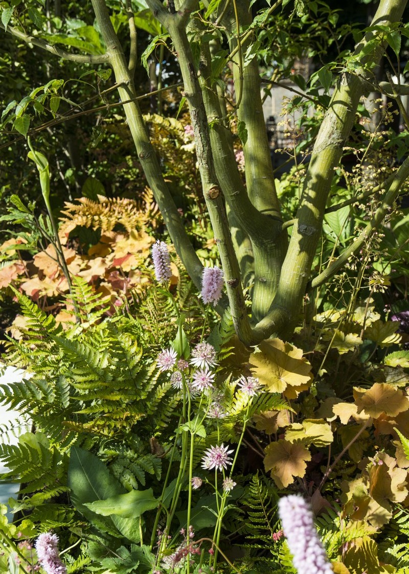 100平方米活动花园打造丨Alexandre Tonnerre-8