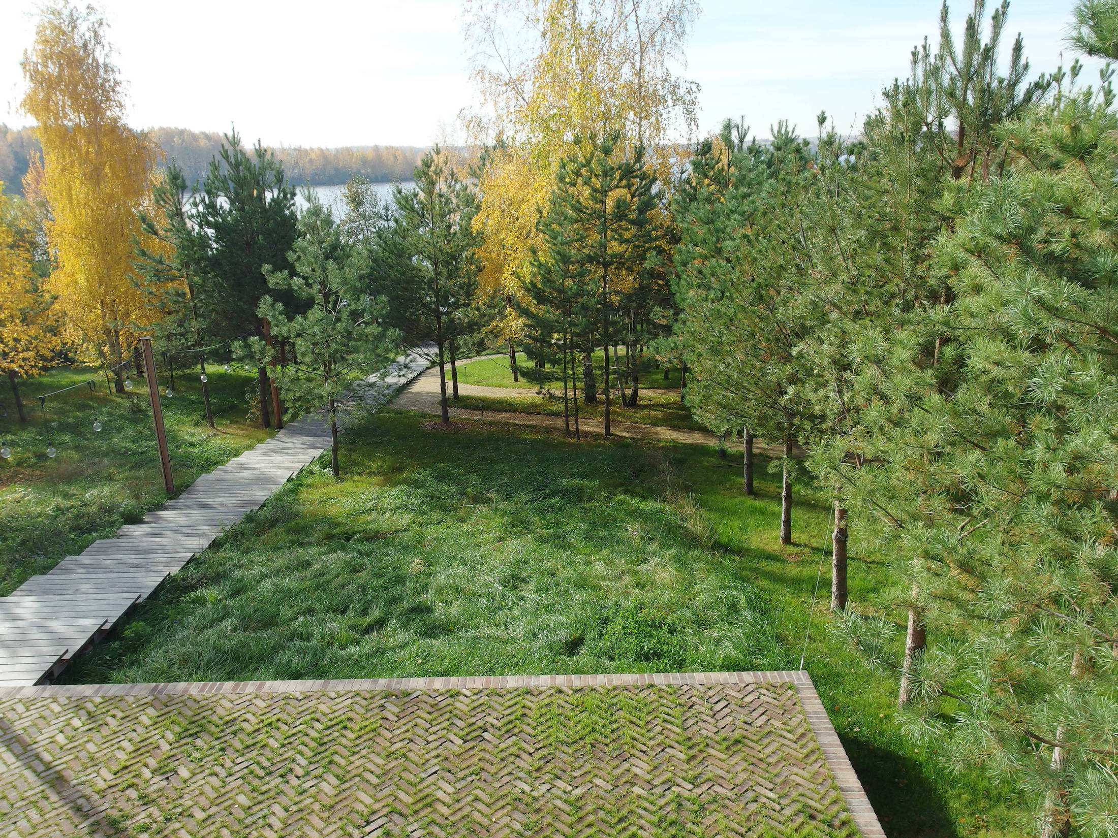 莫斯科北部童话森林湖景-4