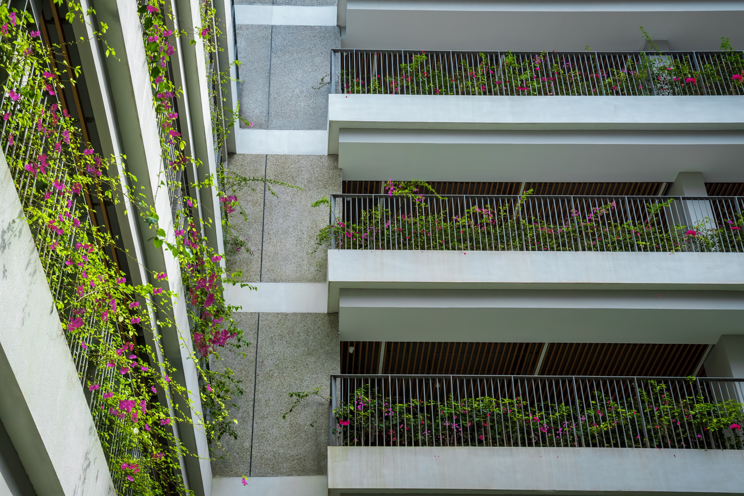 深圳市宝安中学(集团)海天学校丨中国深圳丨HILL 希尔景观-38