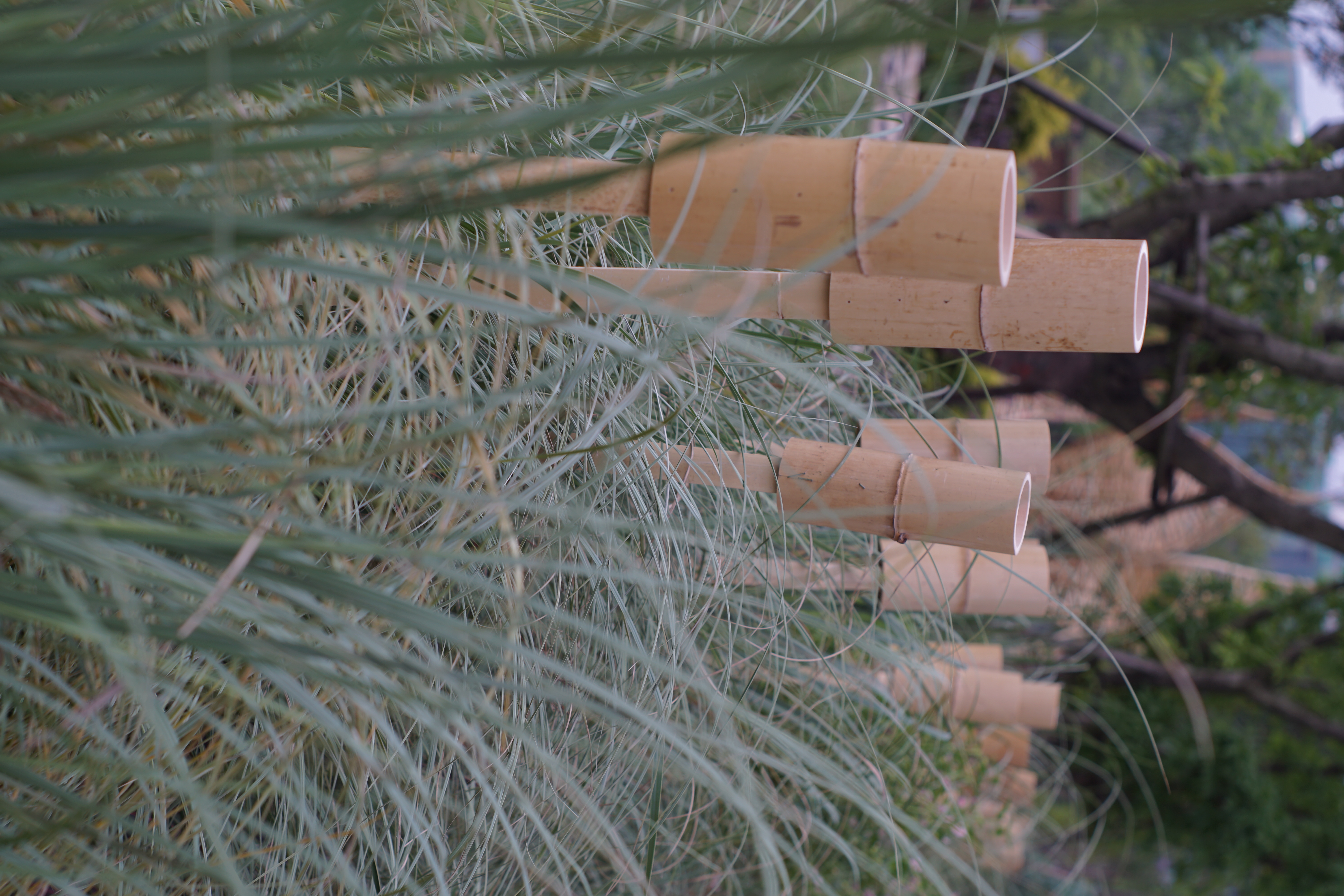 竹林丨中国成都丨Atelier Folie（北林风景建筑研究中心）-38