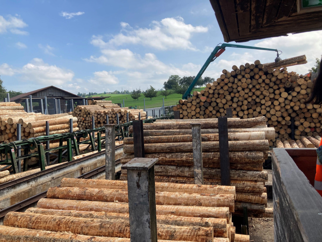 543 Hortus办公楼丨瑞士丨Herzog  de Meuron（赫尔佐格和德梅隆）-15