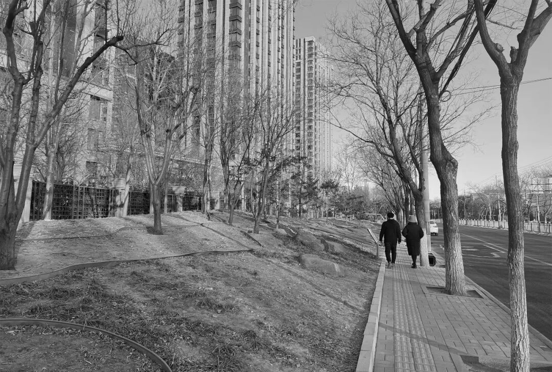 花开梨园·云景寻芳·2024年通州区花园式街区建设工程(设计)丨中国通州丨笛东规划设计(北京)股份有限公司-47