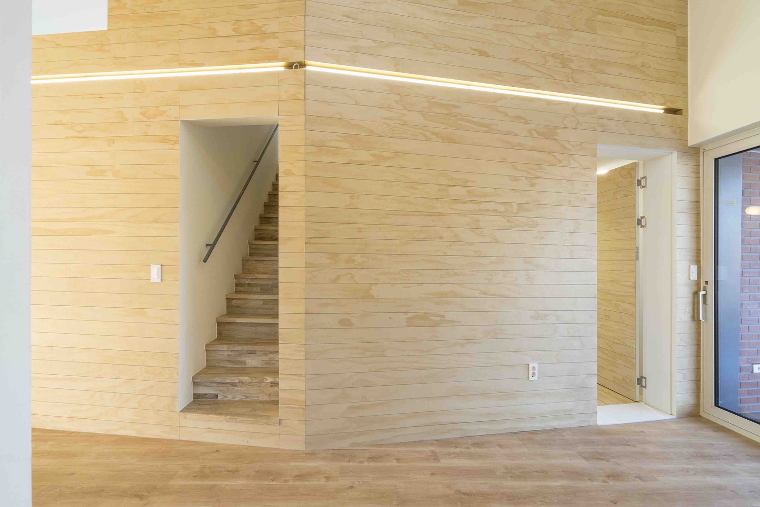 温暖阳光照亮受伤主人生活-62