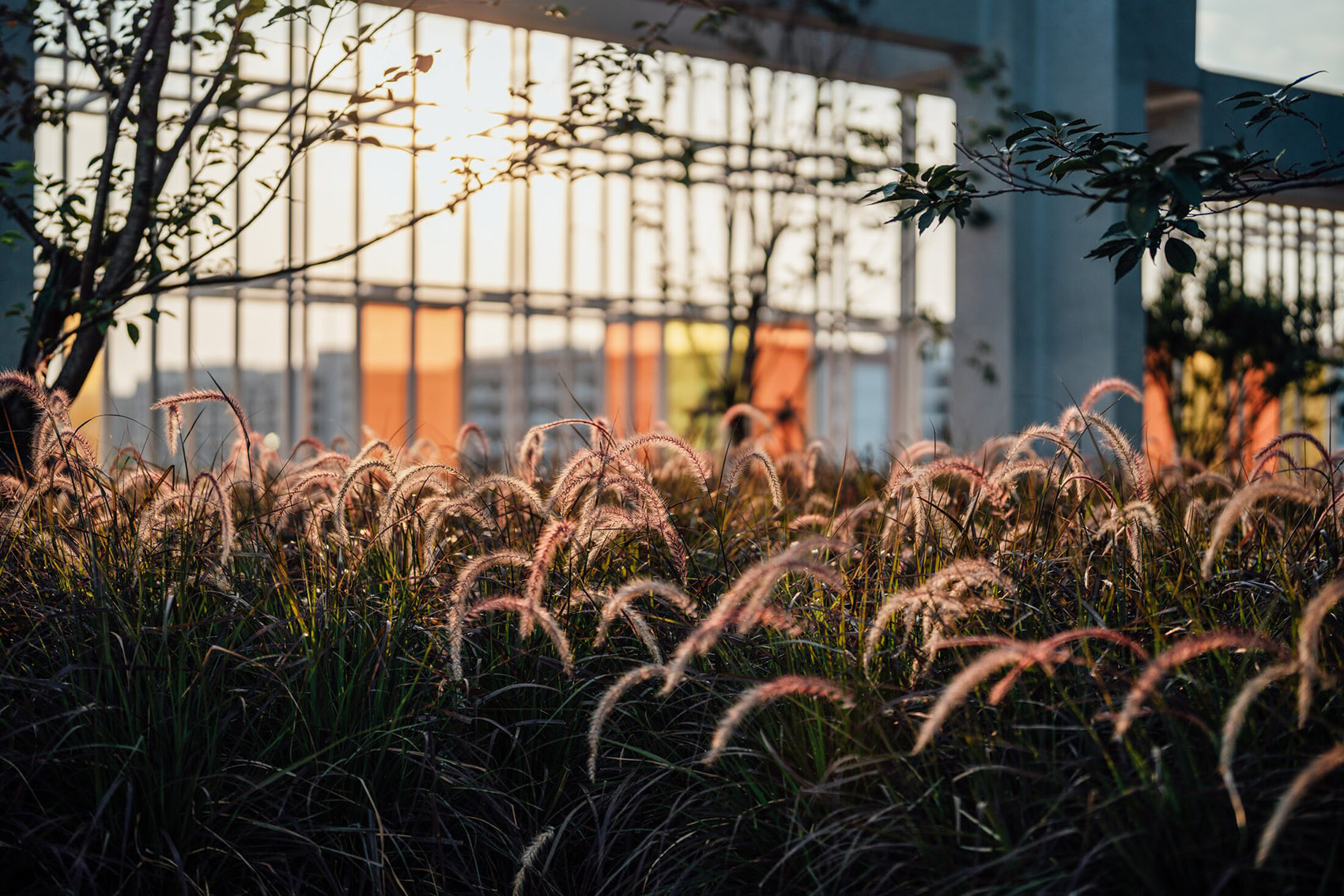 萤集·三官堂(缤虹里的商业区)丨中国宁波丨T.Workshop创浦景观设计-91