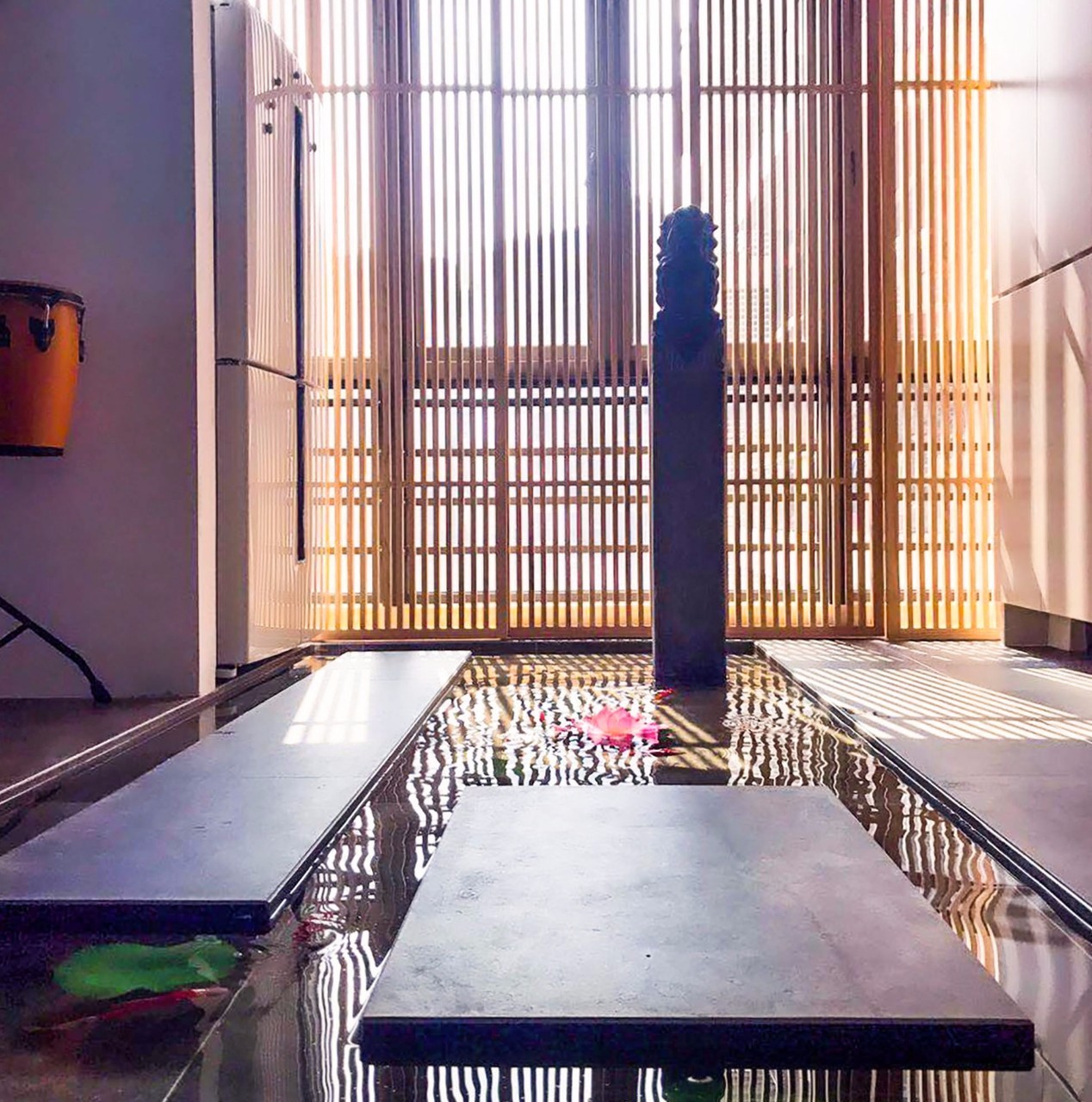 他在20楼挖池塘、造园子丨把家改成空中花园-24