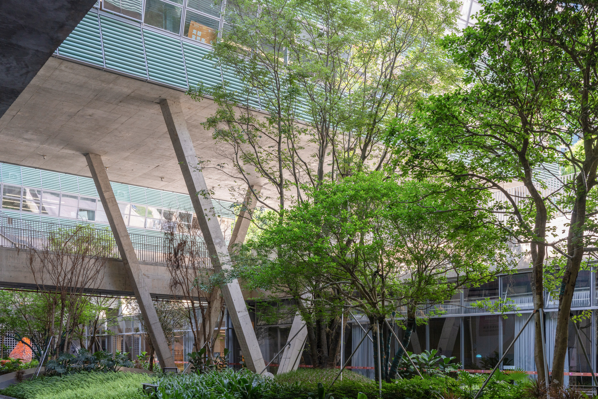 丨中国深圳丨O  office Architects-34