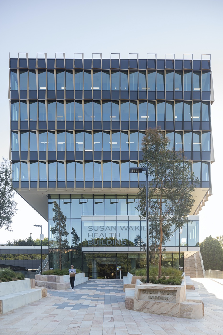 悉尼 Susan Wakil 健康区丨澳大利亚悉尼丨Arcadia Landscape Architecture-15