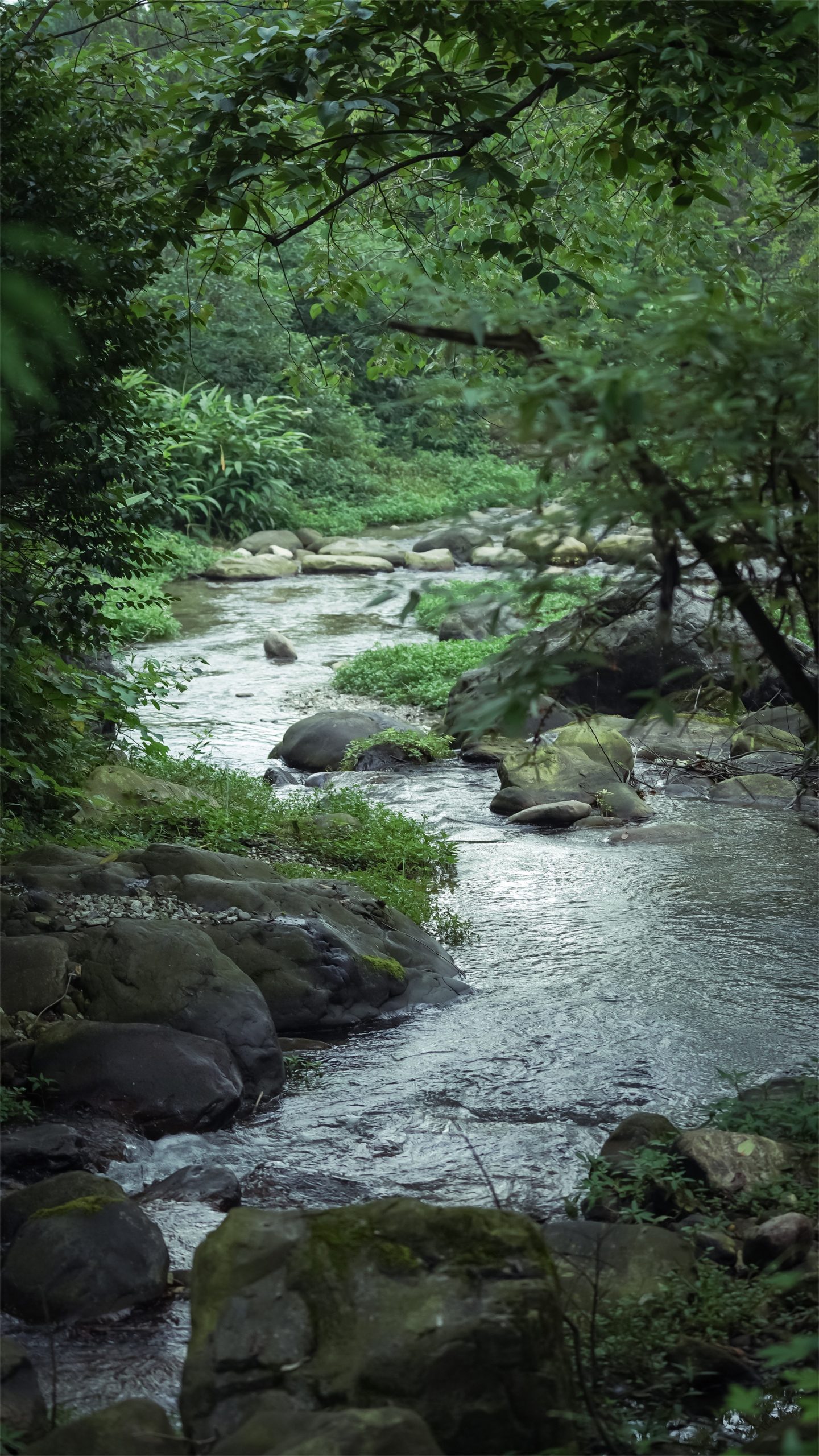 峨眉·高桥小镇丨中国眉山丨四川乐道景观设计有限公司-51