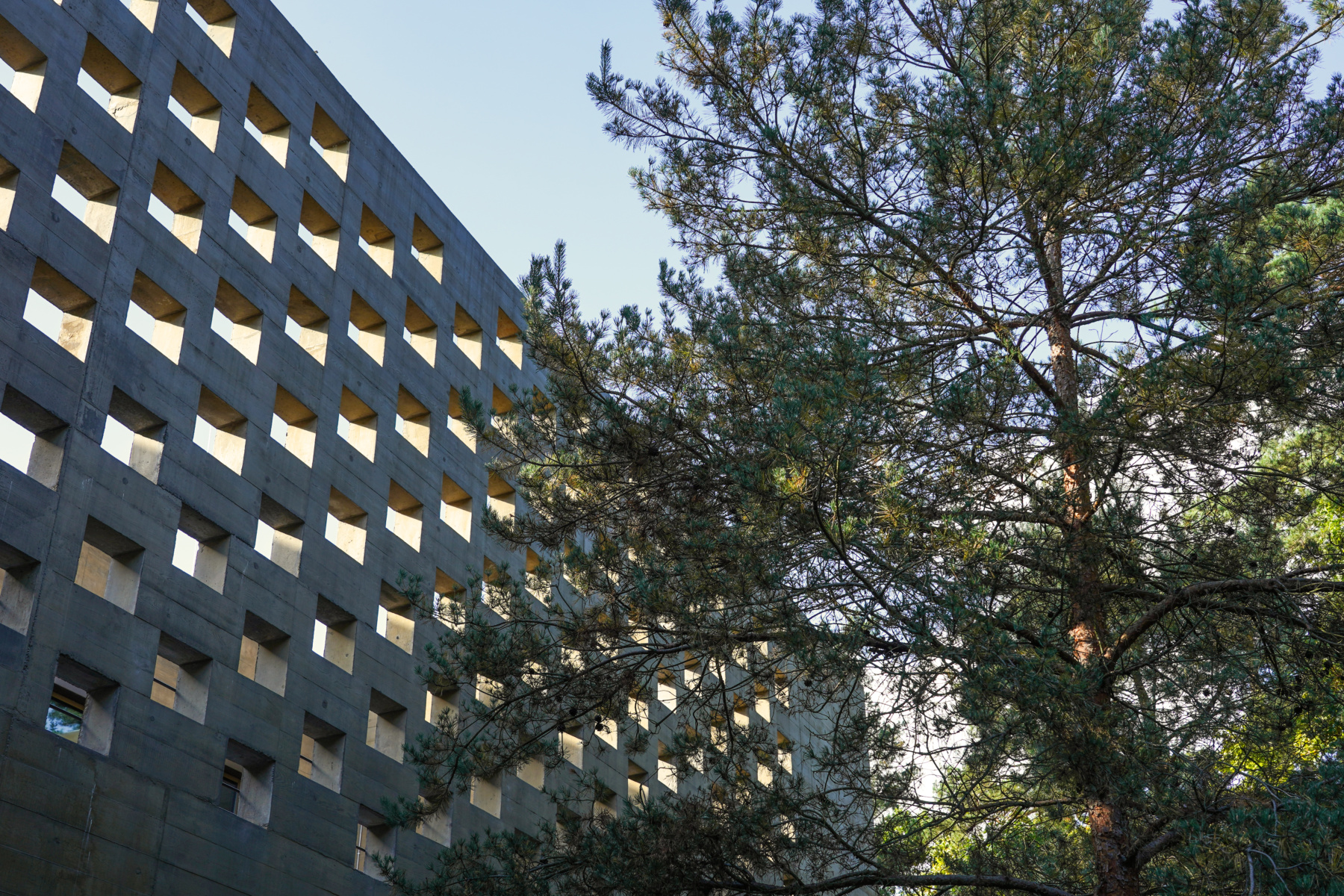 Muzeum J· Piłsudskiego（约瑟夫·毕苏斯基博物馆）-17