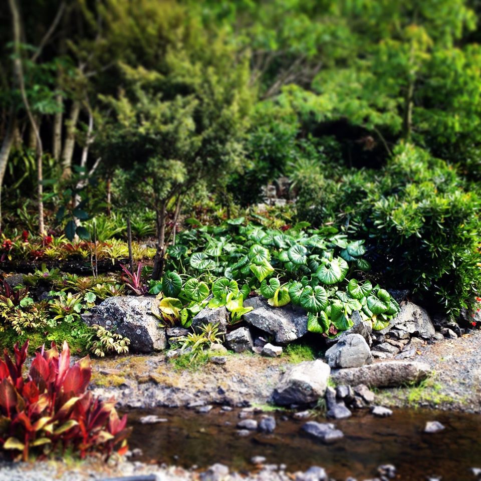 丨无相关信息-17