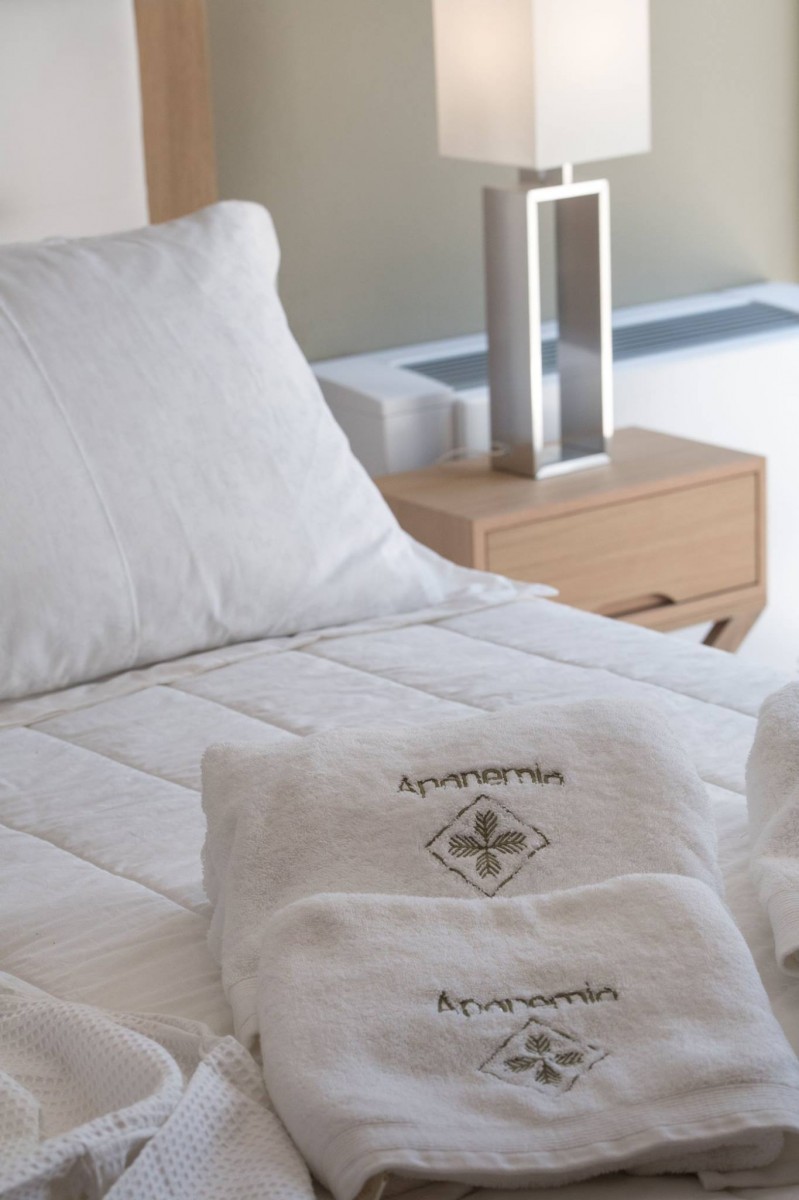 Apanemia 豪华别墅标志设计丨希腊-4