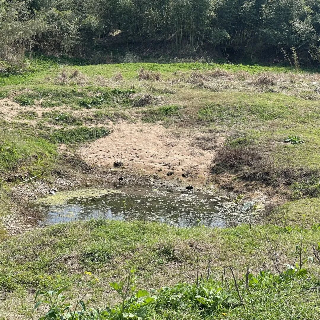 湿地洞窟配套驿站丨中国衢州丨Studio 10-9