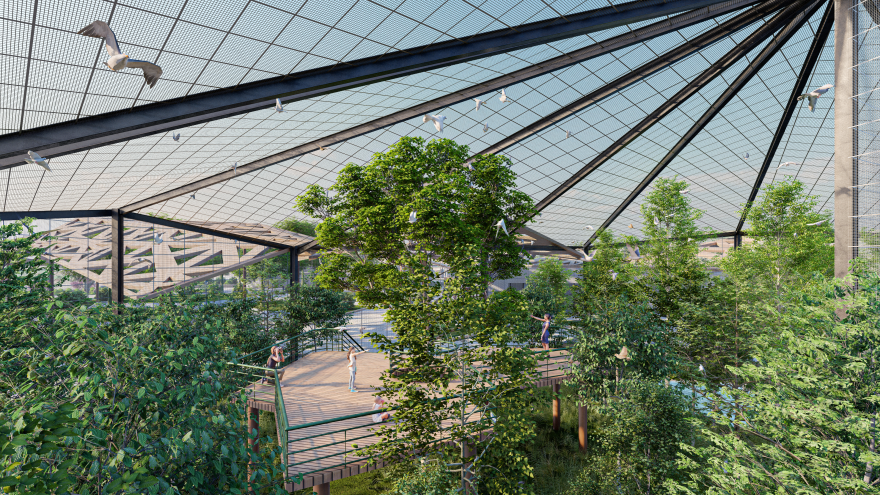 巴勒斯坦自然保护中心-29