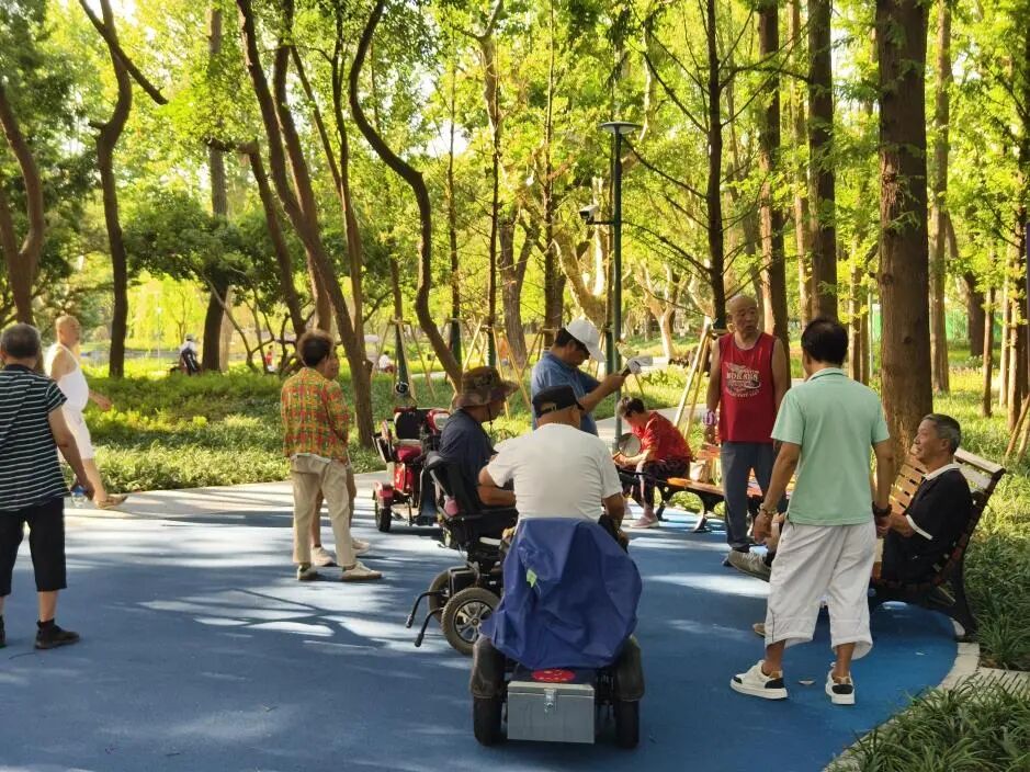 中国园林·理事专栏|“拓”之力量：杨浦公园改造纪实(三)-288