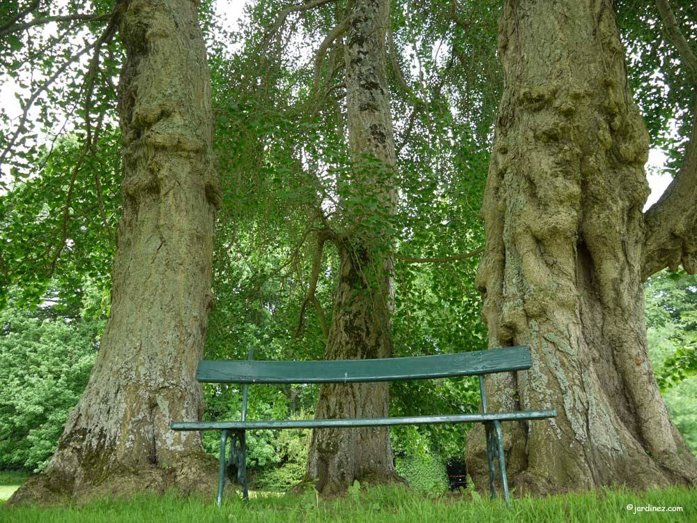 Парки и сады Монмаран（蒙马兰公园和花园）丨法国-9