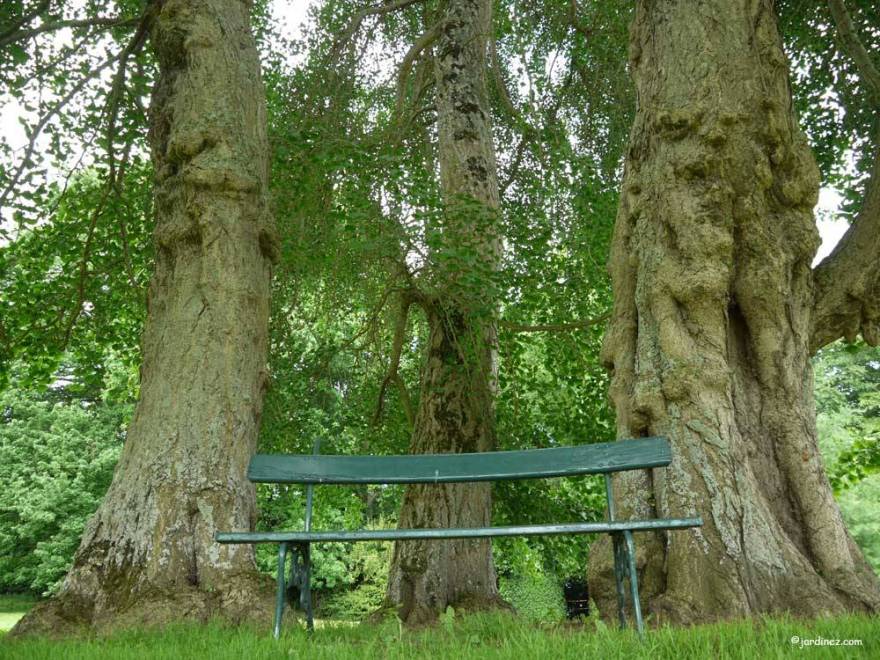 Парки и сады Монмаран(蒙马兰公园和花园)丨法国-9