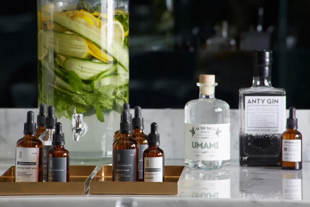 伦敦顶级花园豪宅 Wardian | 几何大胆线条与翠绿自然的完美融合-77