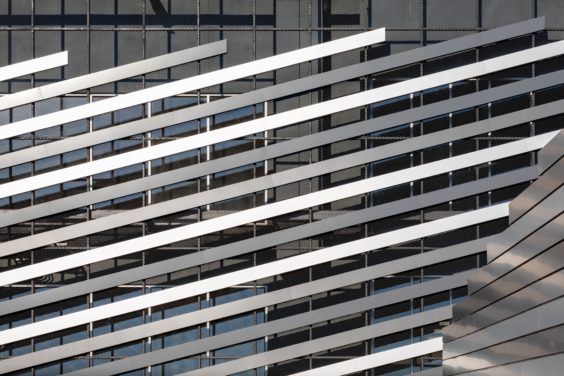 帕斯亚赫·文图斯-14